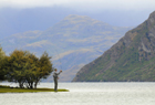 Wanaka 102052.jpg